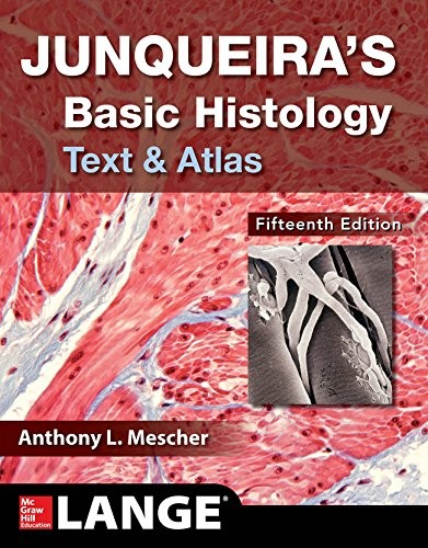 Junqueira basic histology - junqueira's,