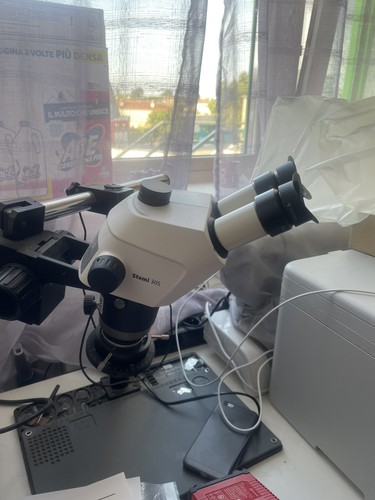 Zeiss stemi 305 testa - stemi,