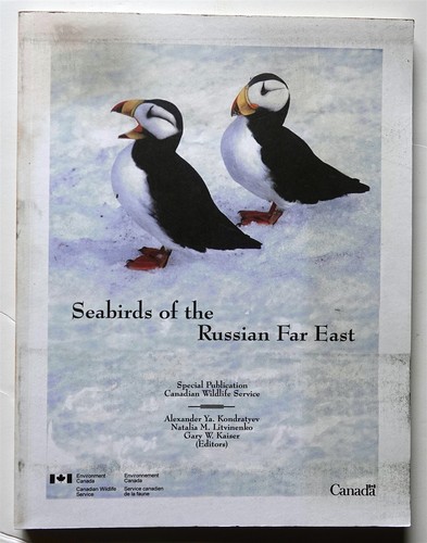 Seabirds the russian far - of,
