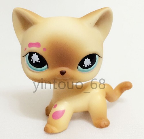 Lps pet shop 816 - #816, messiest