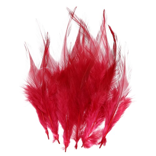 Pluma gallo silla - gallo,