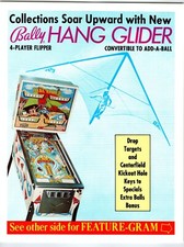 Flipper Hang Glider FLYER