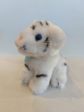 Piccolo cucciolo di tigre