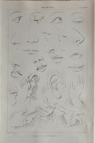 1874 stampa disegno vari - disegno,