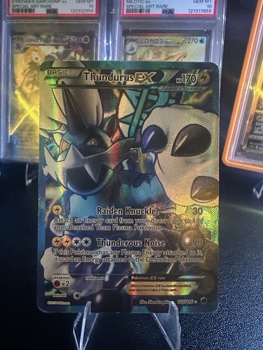 Thundurus - (team, plasma)