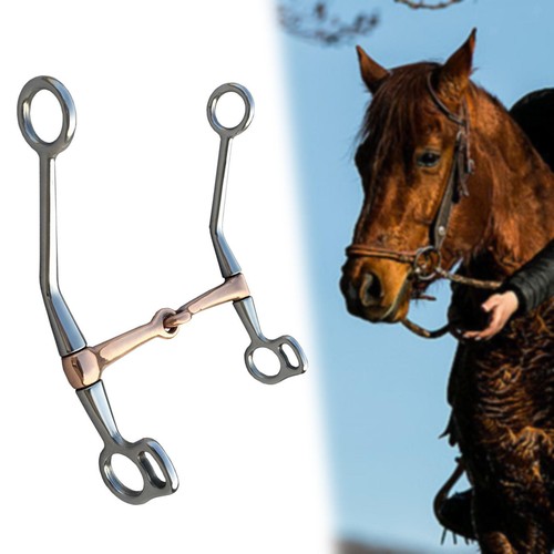 Equestrian supplies filetto - filetto, a