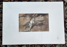 Litografia Pietro Annigoni opera postuma