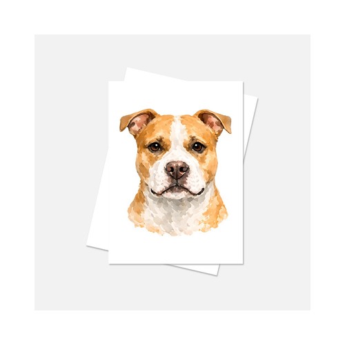 Pitbull dog notecard 4x6 vuoto - notecard,