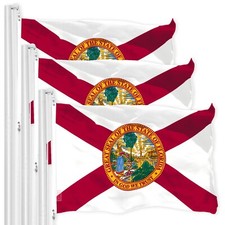 Florida FL State Flag 3x5FT