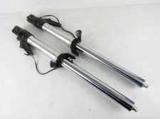 Coppia Steli Forcella TRIUMPH DAYTONA T595 955i - Front Fork