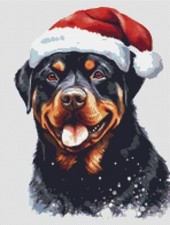 Dog's Delight Rottweiler Dog