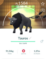 ► Pokemon Go Tauros  Combat