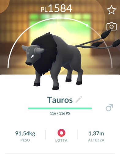 Pokemon tauros combat - pokemon,