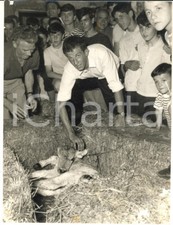 1966 GROPPELLO D'ADDA Gianni