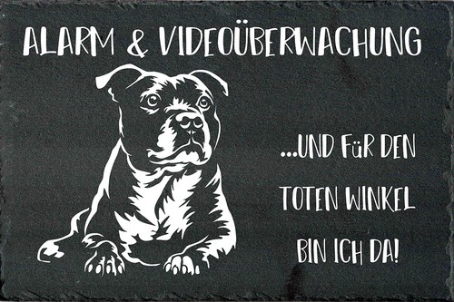 Staffordshire bullterrier - staffordshire,