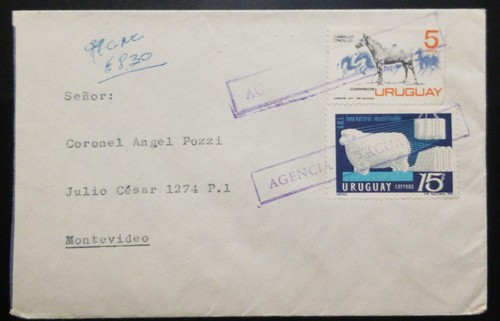 1971 uruguay cavallo - 1971,, uruguay,