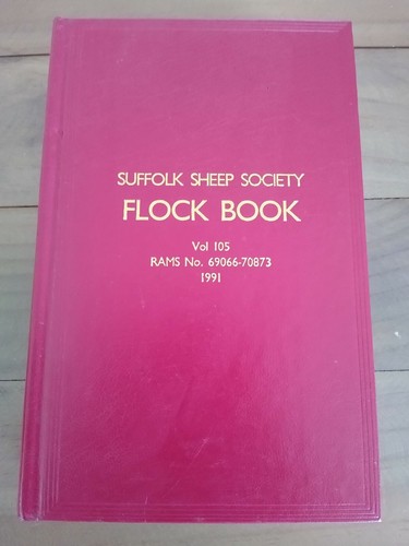 Suffolk sheep society - sheep,