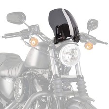 Schermo Puig Touring D/Fumo