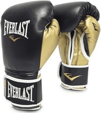 Nuovi guanti da boxe Everlast