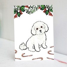 Biglietto di Natale Maltipoo |