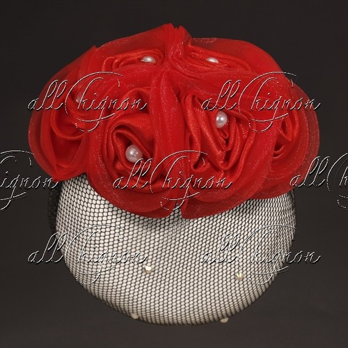 Copri chignon allchignon t4050 - chignon,