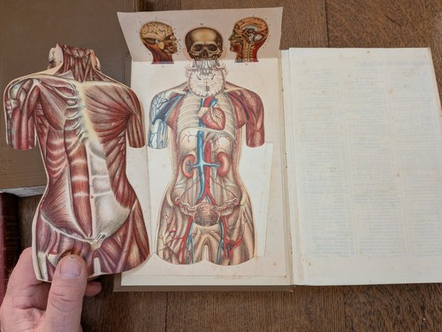 Vecchio libro bilz - vecchio, la
