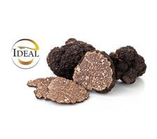 100g Tartufo Uncinato - Scorzone Invernale - Tuber Uncinatum Chatin - ITALIA 
