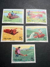 Cina 1975 T13 Farm