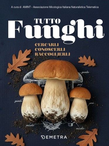 Libri tutto funghi cercarli - libri,