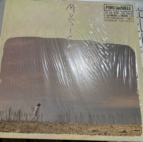 Pino daniele musicante - pino,