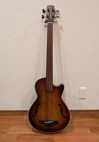 Basso elettrico acustico - , k