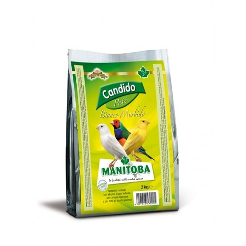 Manitoba candido pate bianco - ,