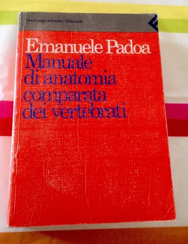 Padoa manuale di anatomia - manuale,