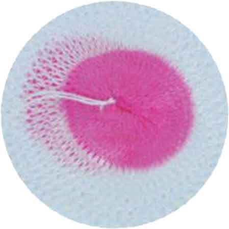 Retina per lampada - a, 100