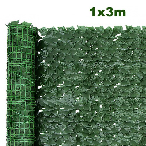 Siepe paravento edera - 3m,