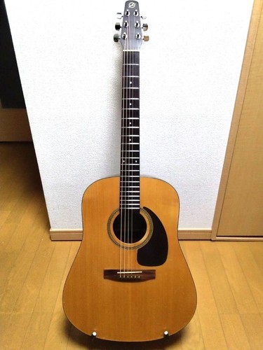 Chitarra acustica seagull sm6 - seagull,