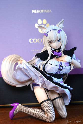 Nuovo nekopara coconut soft - nuovo,