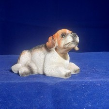 Vintage Beagle Cucciolo