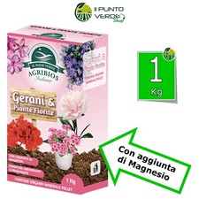 Concime gerani granulare - kg,