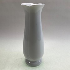 Schumann Arzberg Baviera