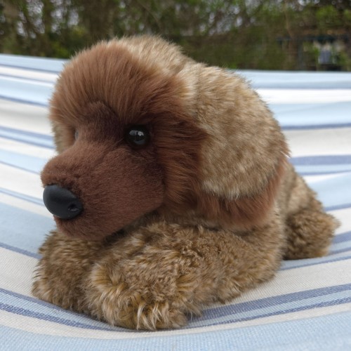 Raro douglas cuddle toys - raro,