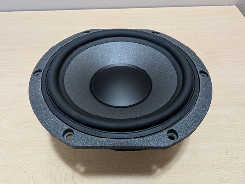 U24838 focal chorus - u24838,