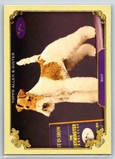 2024 Topps Allen & Ginter