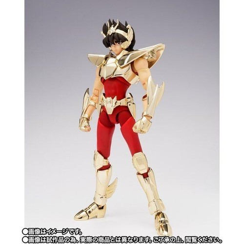 Saint cloth myth - myth, pegasus