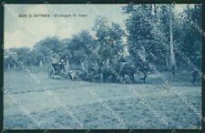 Torino Venaria Reale Militari