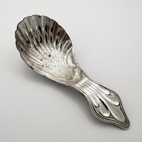 Cucchiaio caddy conchiglia