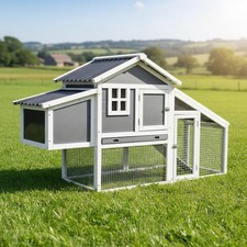 Pollaio pollaio pollaio