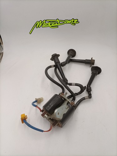 Bobine accensione yamaha fzr - bobine,