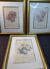 Set 3 stampe rosa botaniche