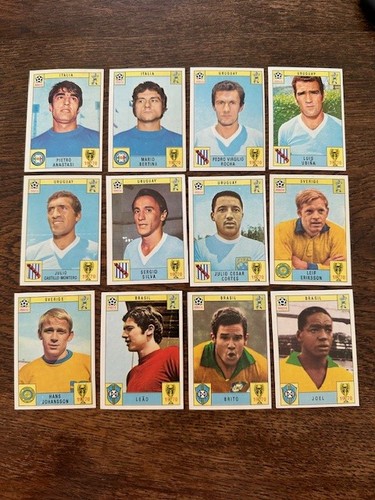 Panini mexico all - all, rare